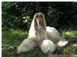 ��������� ���� ����������, ����� � ����� �� ������, ��� love mail ����������